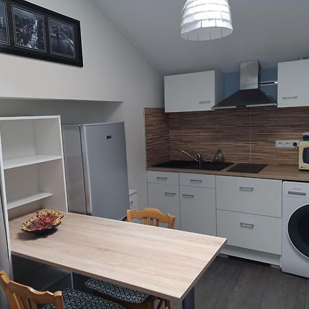 Les Studios De La Rose Des Vents Sathonay-Camp ภายนอก รูปภาพ