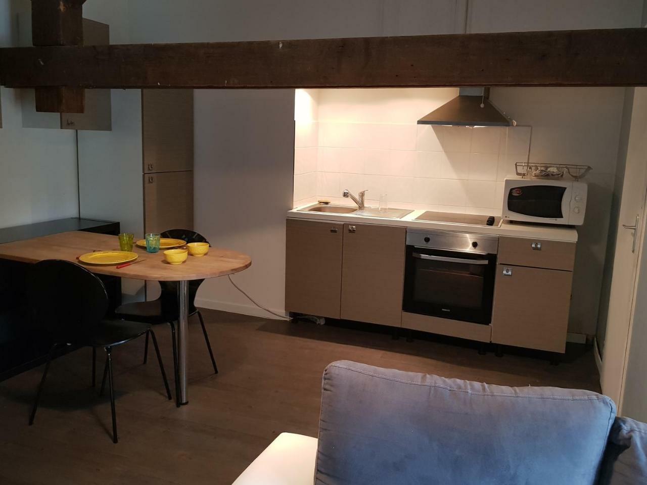 Les Studios De La Rose Des Vents Sathonay-Camp ภายนอก รูปภาพ